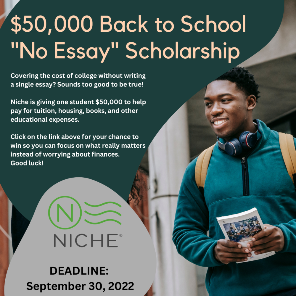 niche essay scholarship 