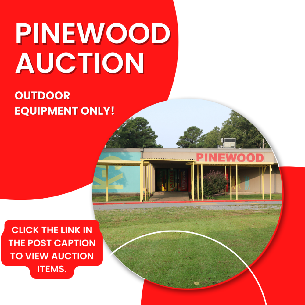 pinewood auction 